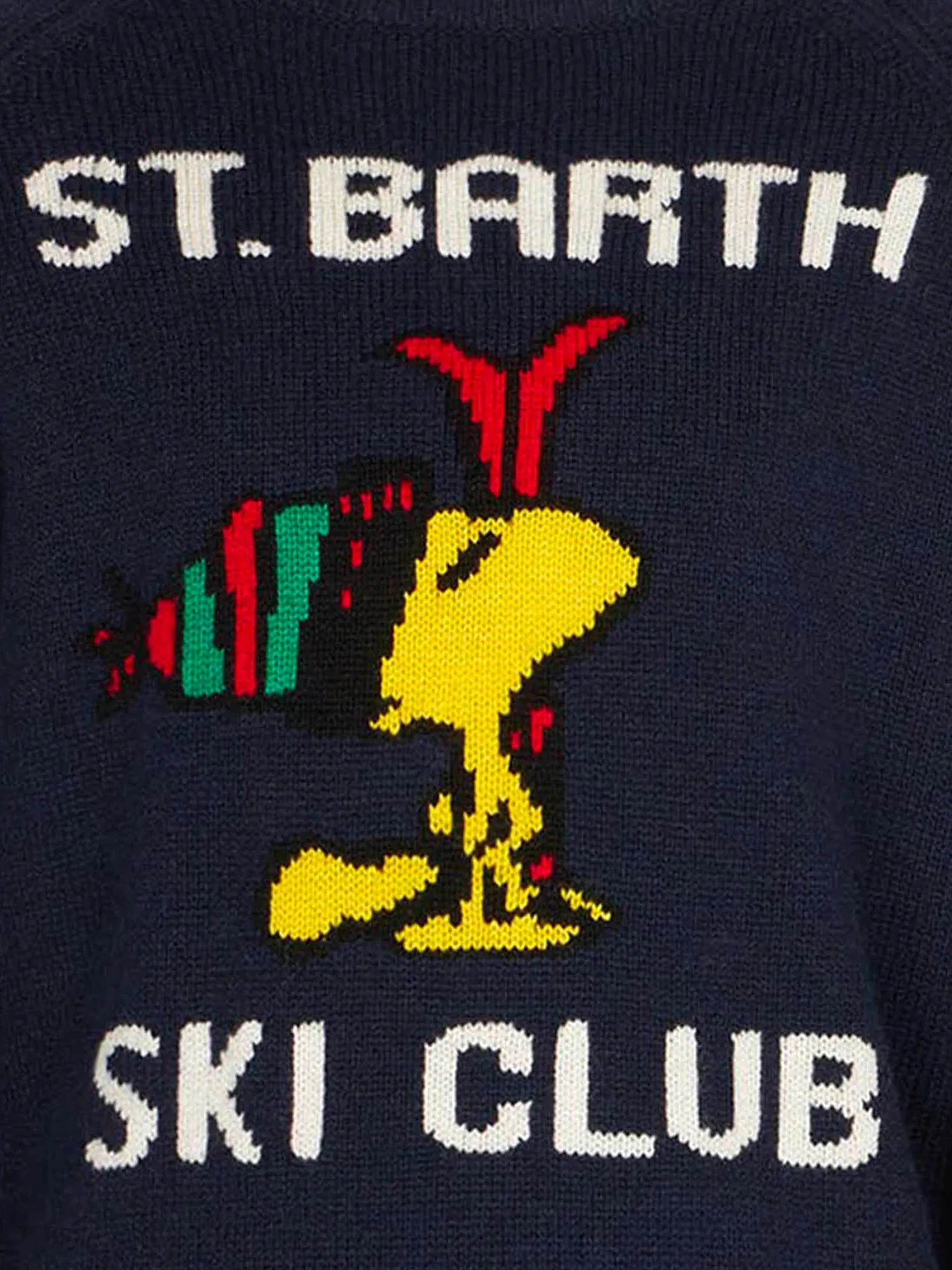 Maglione da bambino girocollo con stampa Woodstock | WOODSTOCK - EDIZIONE SPECIALE PEANUTS™ - Image 2