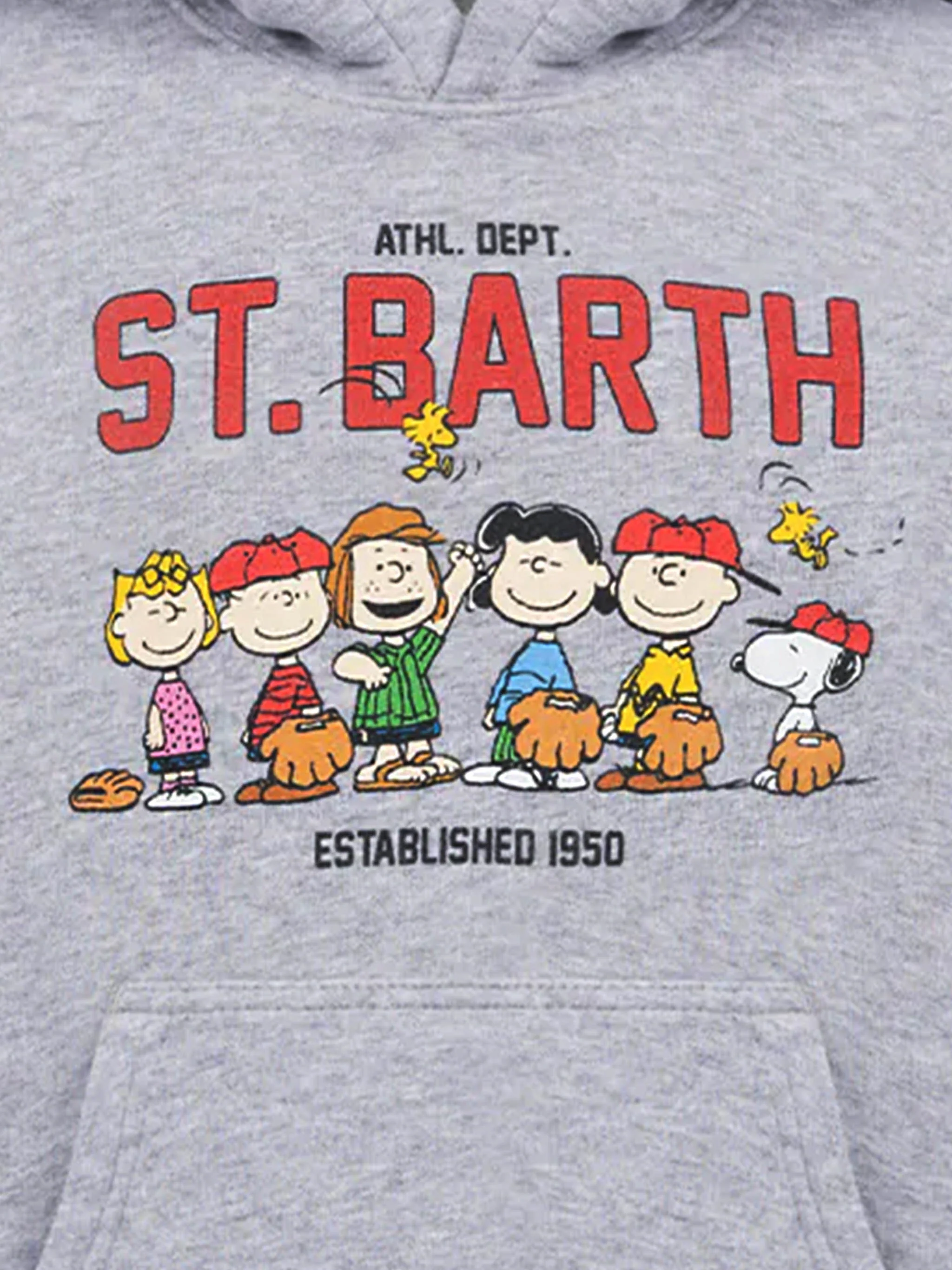 Felpa grigia da bambino Oliver con stampa Peanuts | SNOOPY PEANUTS SPECIAL EDITION - Image 2