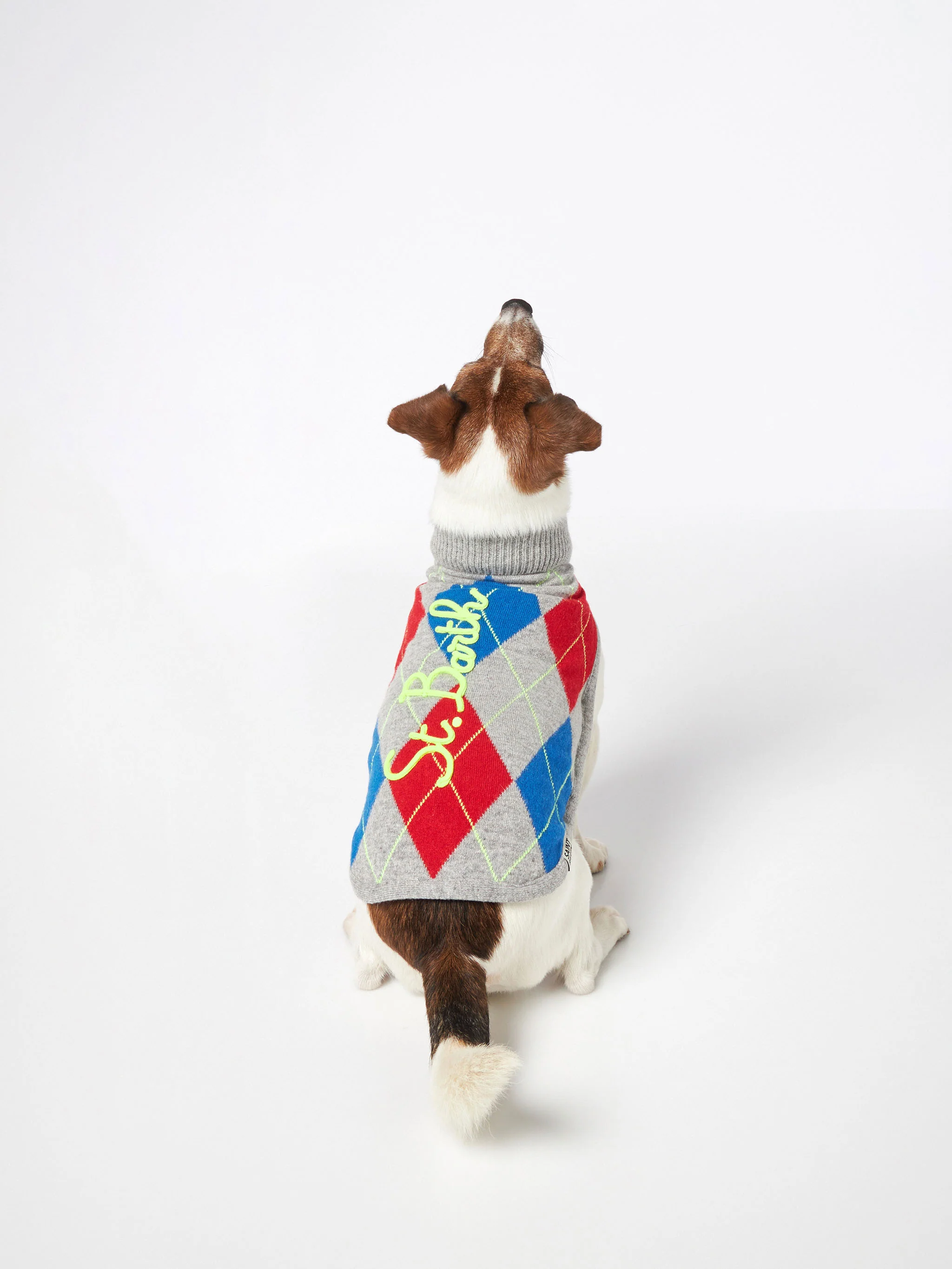 Maglioncino per cani con stampa Argyle - Image 3
