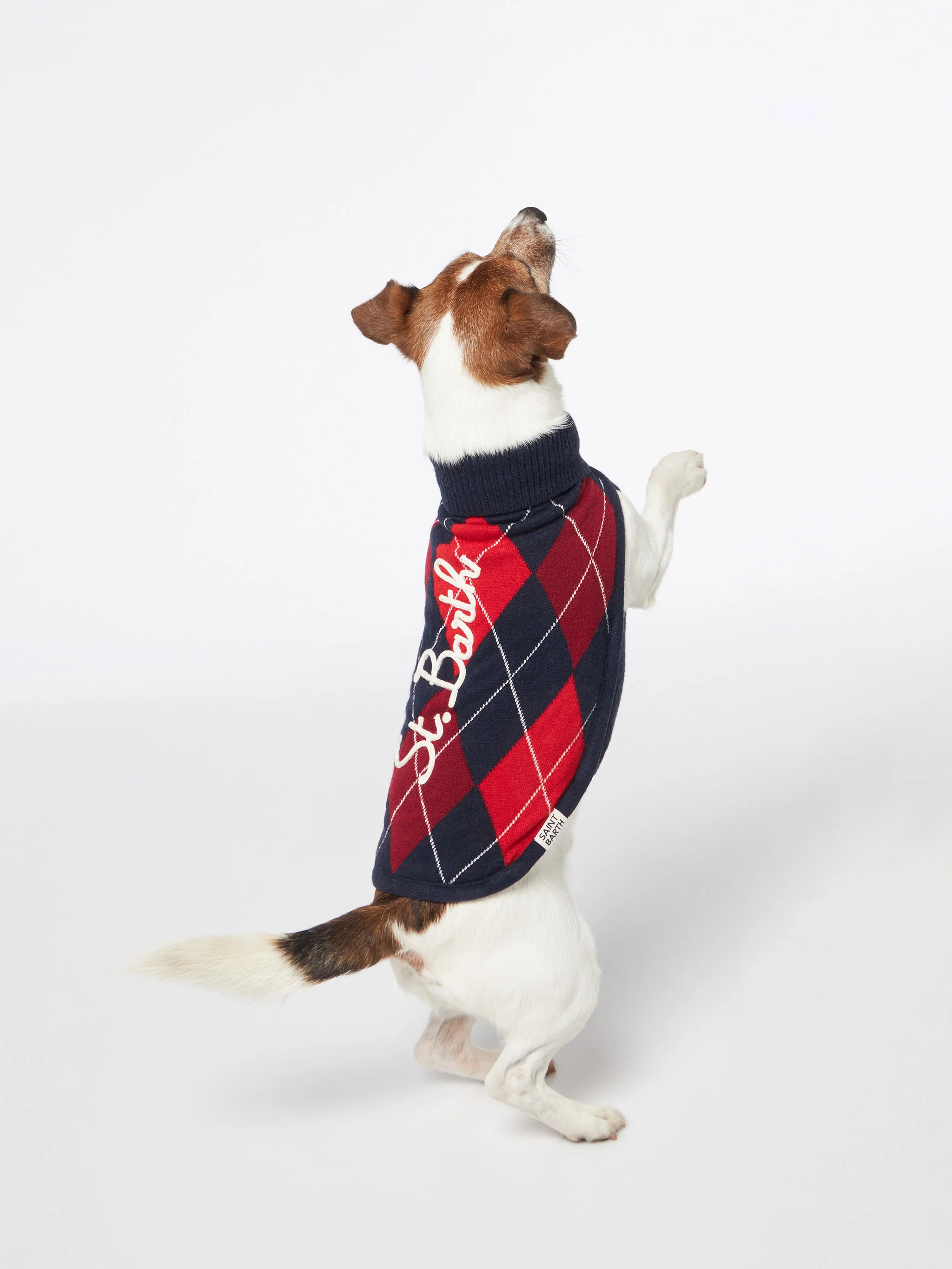 Maglioncino per cani con stampa Argyle - Image 4