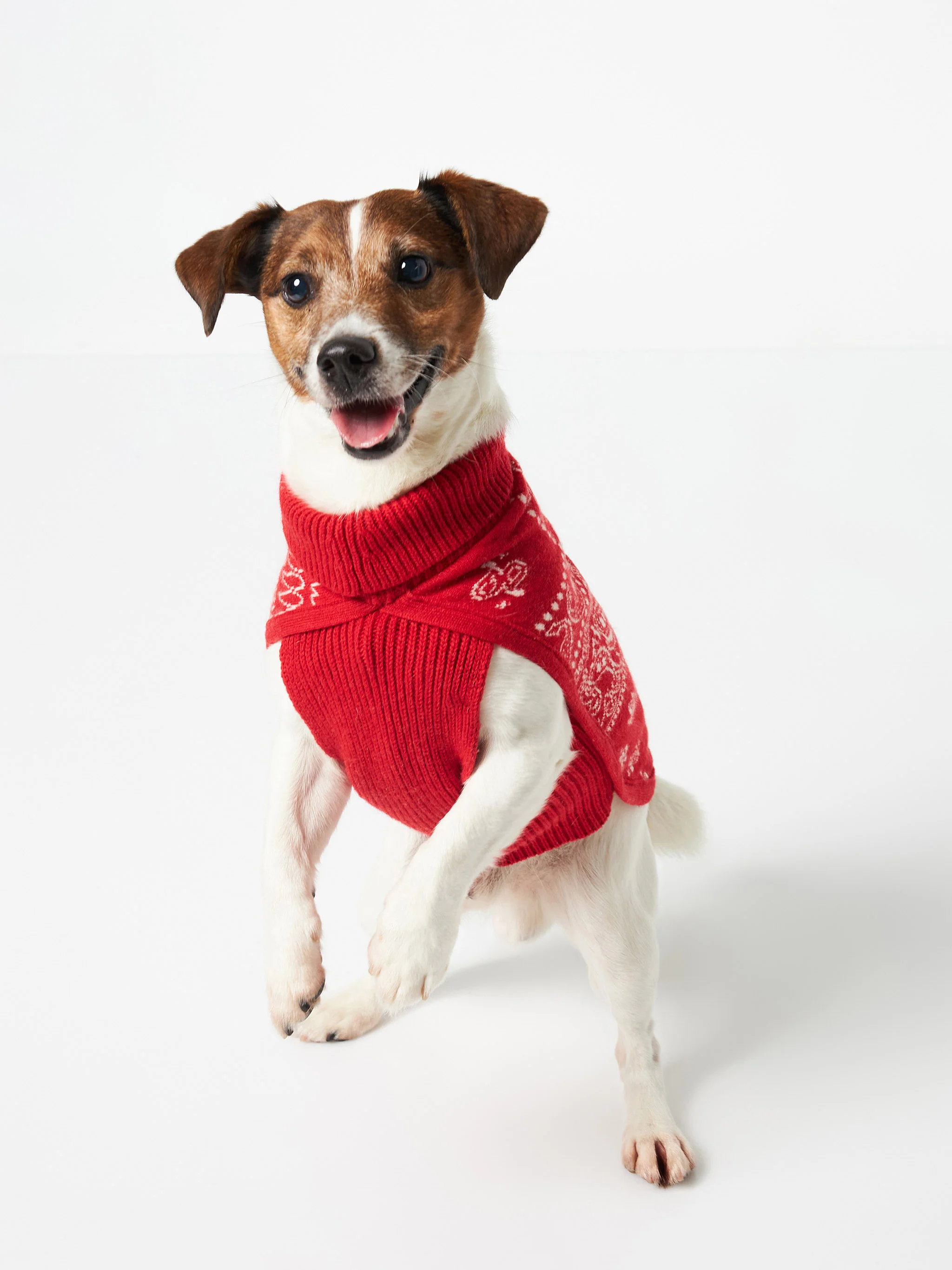 Maglioncino per cani con stampa bandana - Image 2