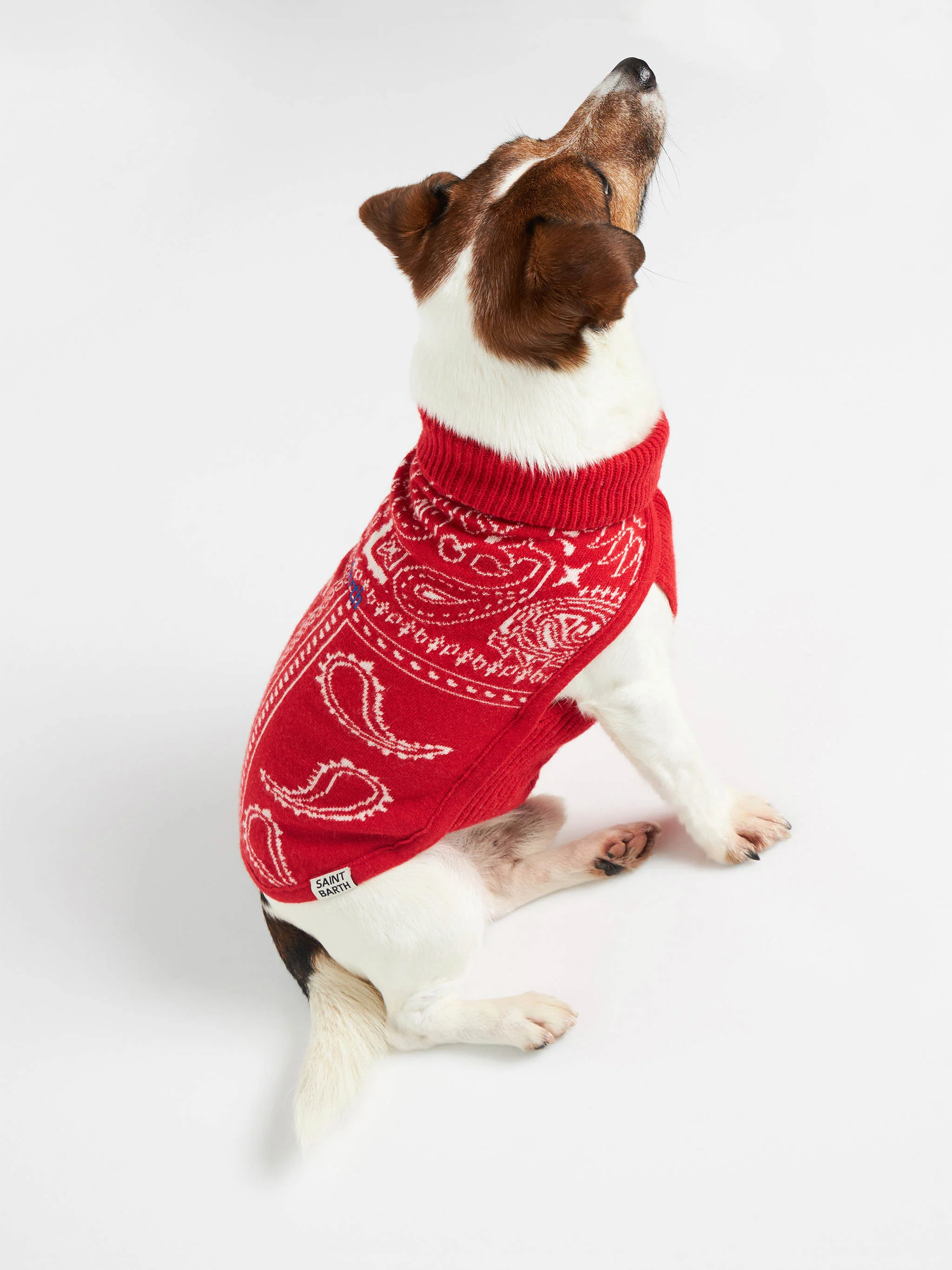 Maglioncino per cani con stampa bandana - Image 3