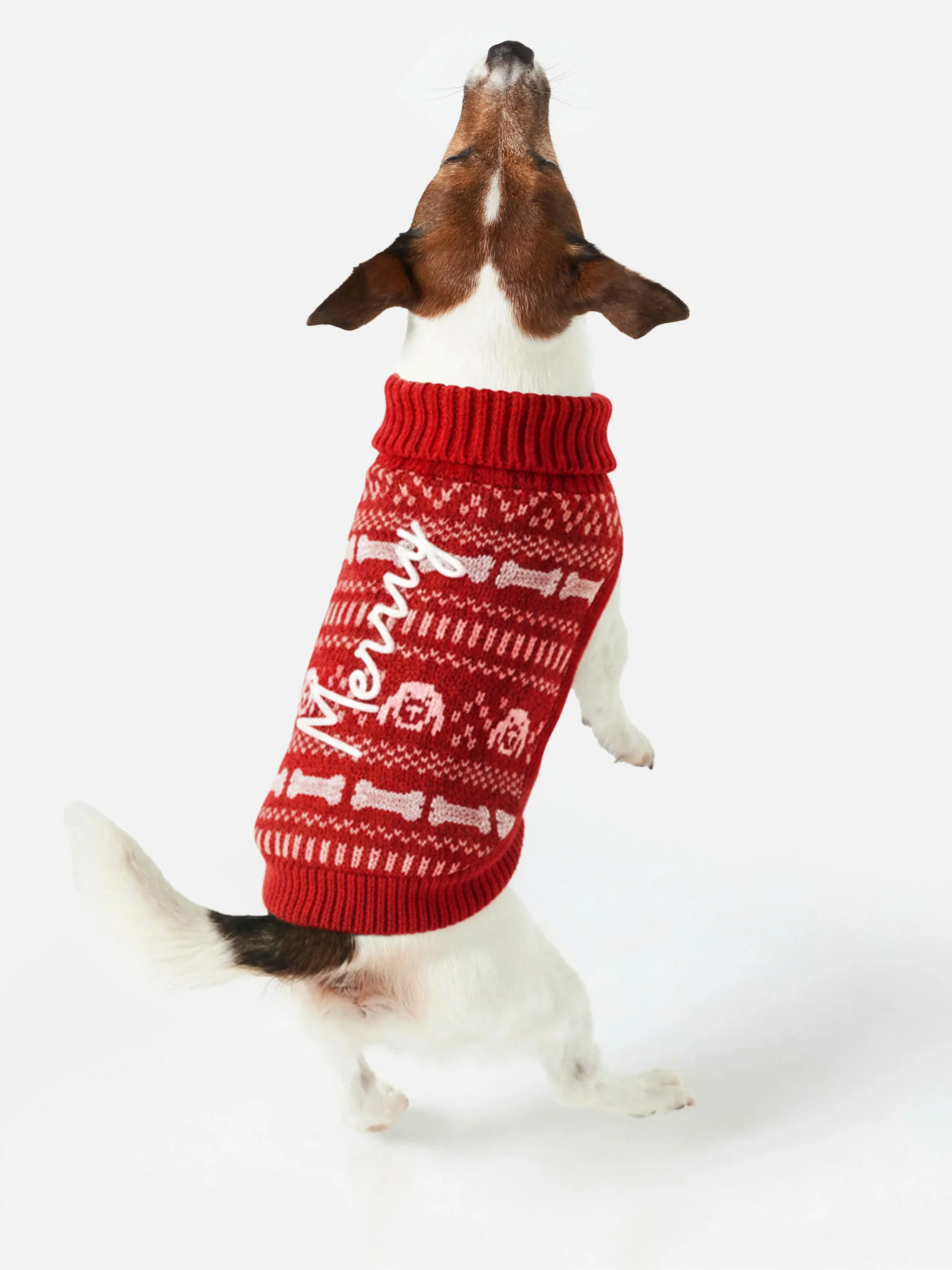 Maglioncino per cani con ricamo Merry - Image 2