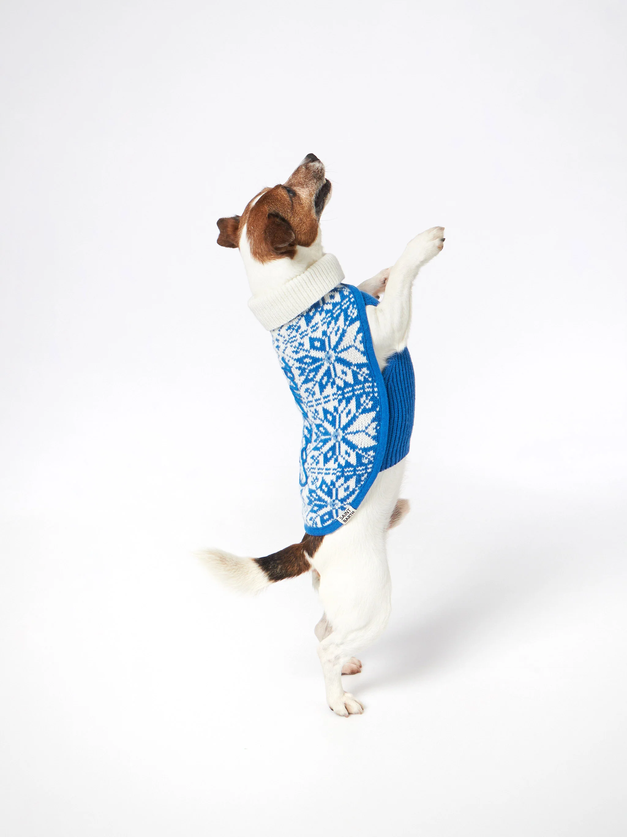 Maglioncino per cani con stampa nordica - Image 3