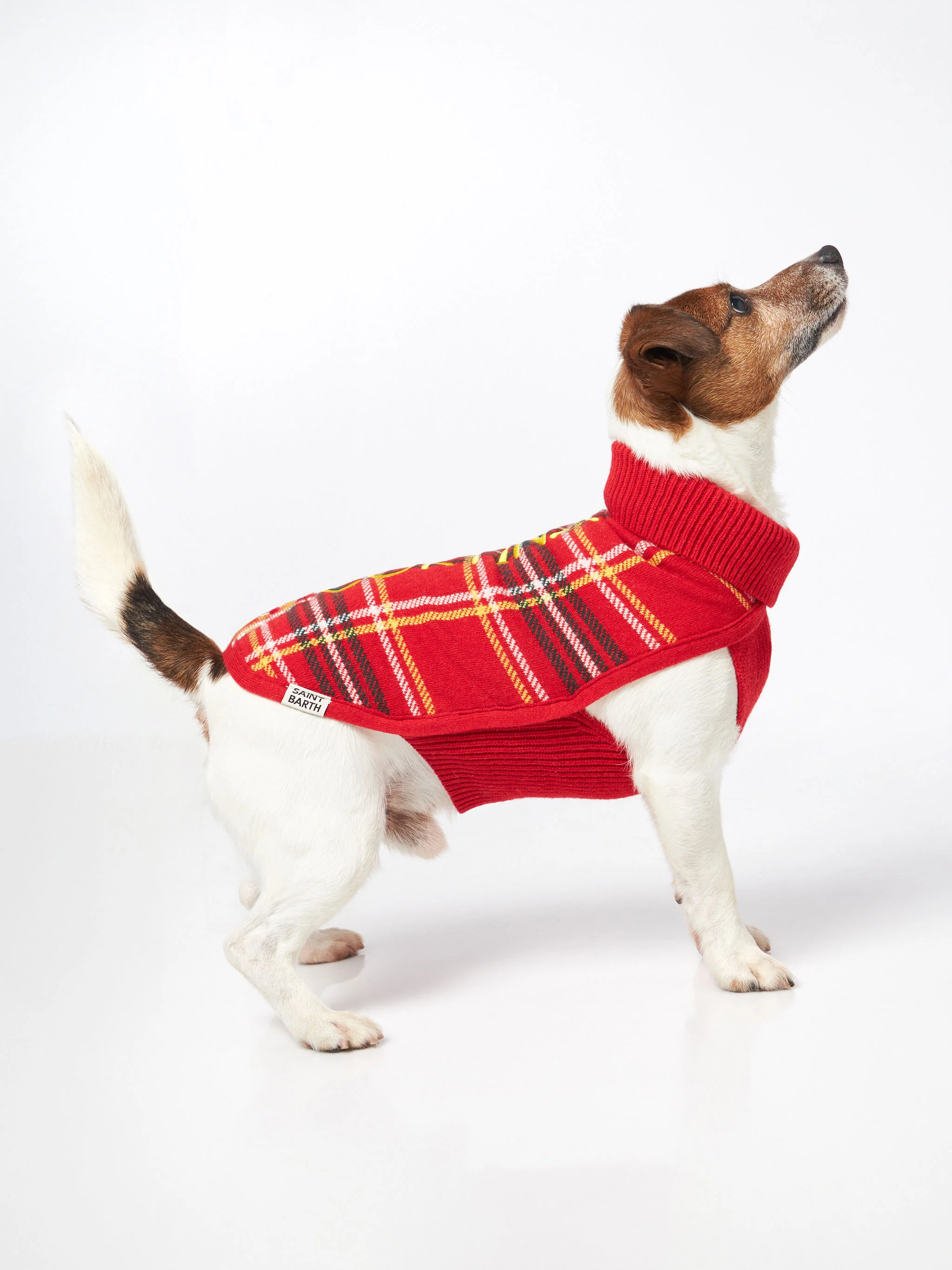 Maglioncino per cani con stampa Tartan - Image 4