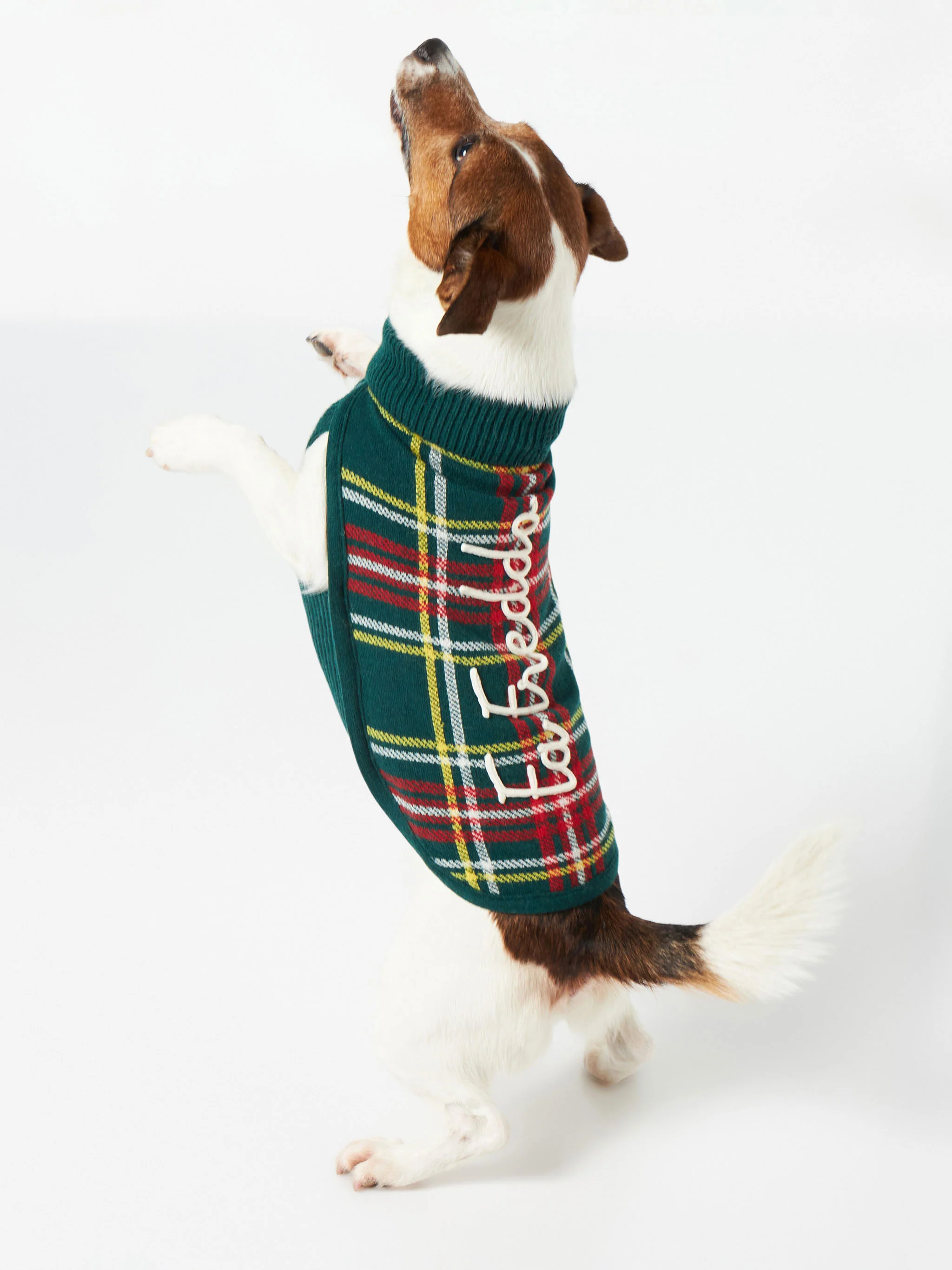 Maglioncino per cani con stampa Tartan - Image 3