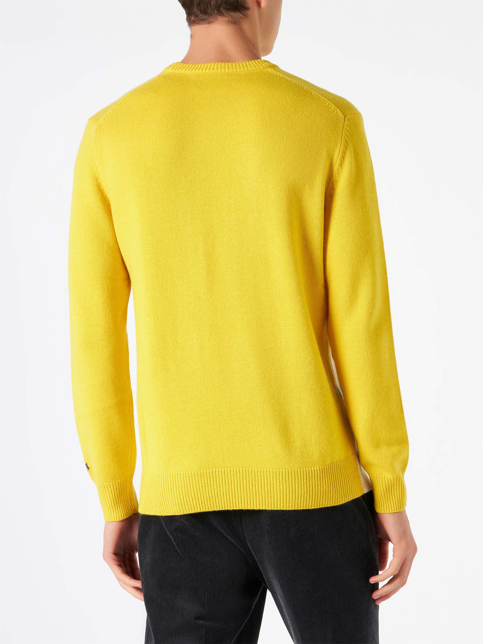 Maglia Heron con postcard Les Alpes - Image 3
