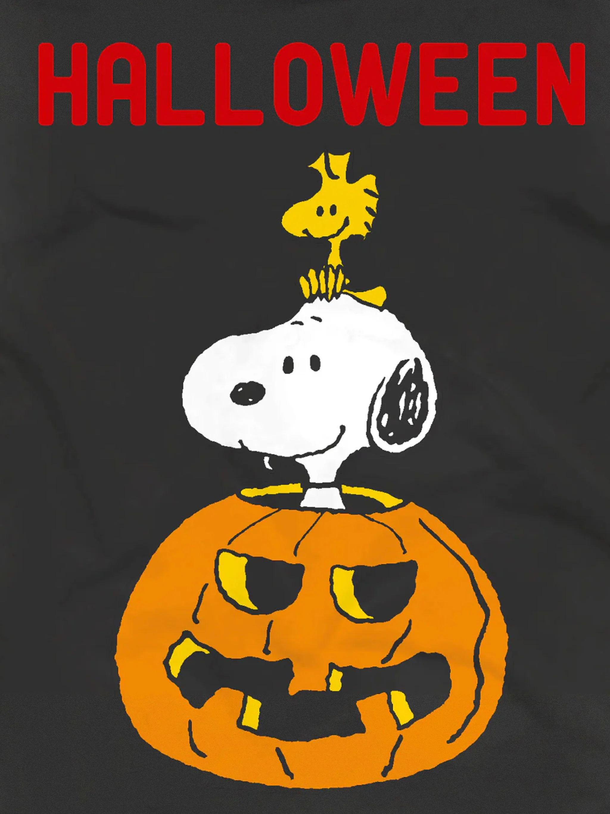 T-shirt Arnott Snoopy Halloween | Special Edition - Image 2