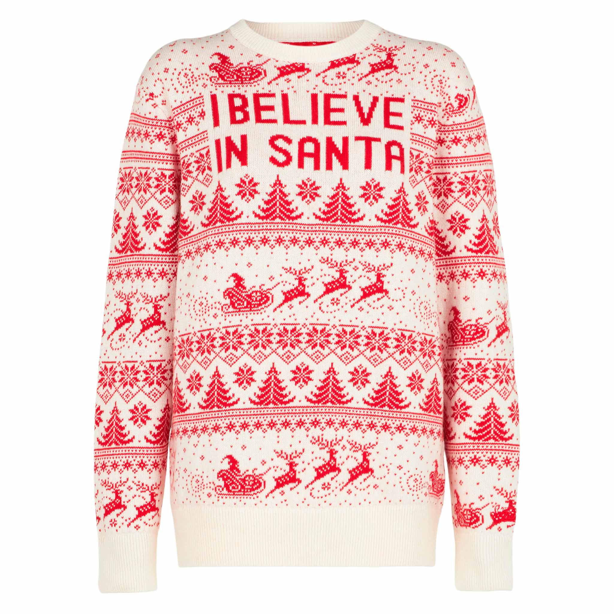 Maglia Heron P con lettering I believe in Santa - Image 4