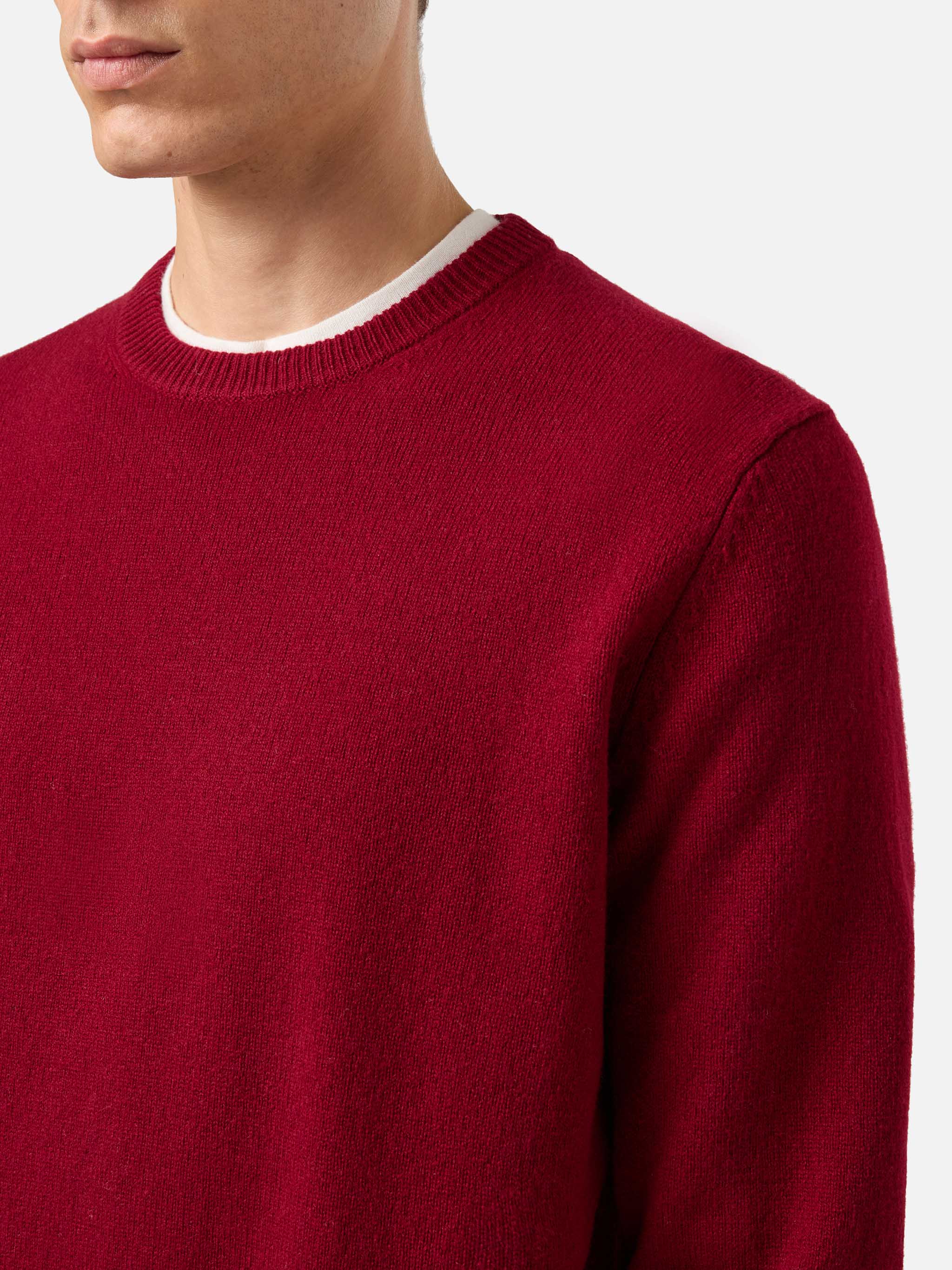 Maglione Regent in 100% LAMBSWOOL bordeaux - Image 2