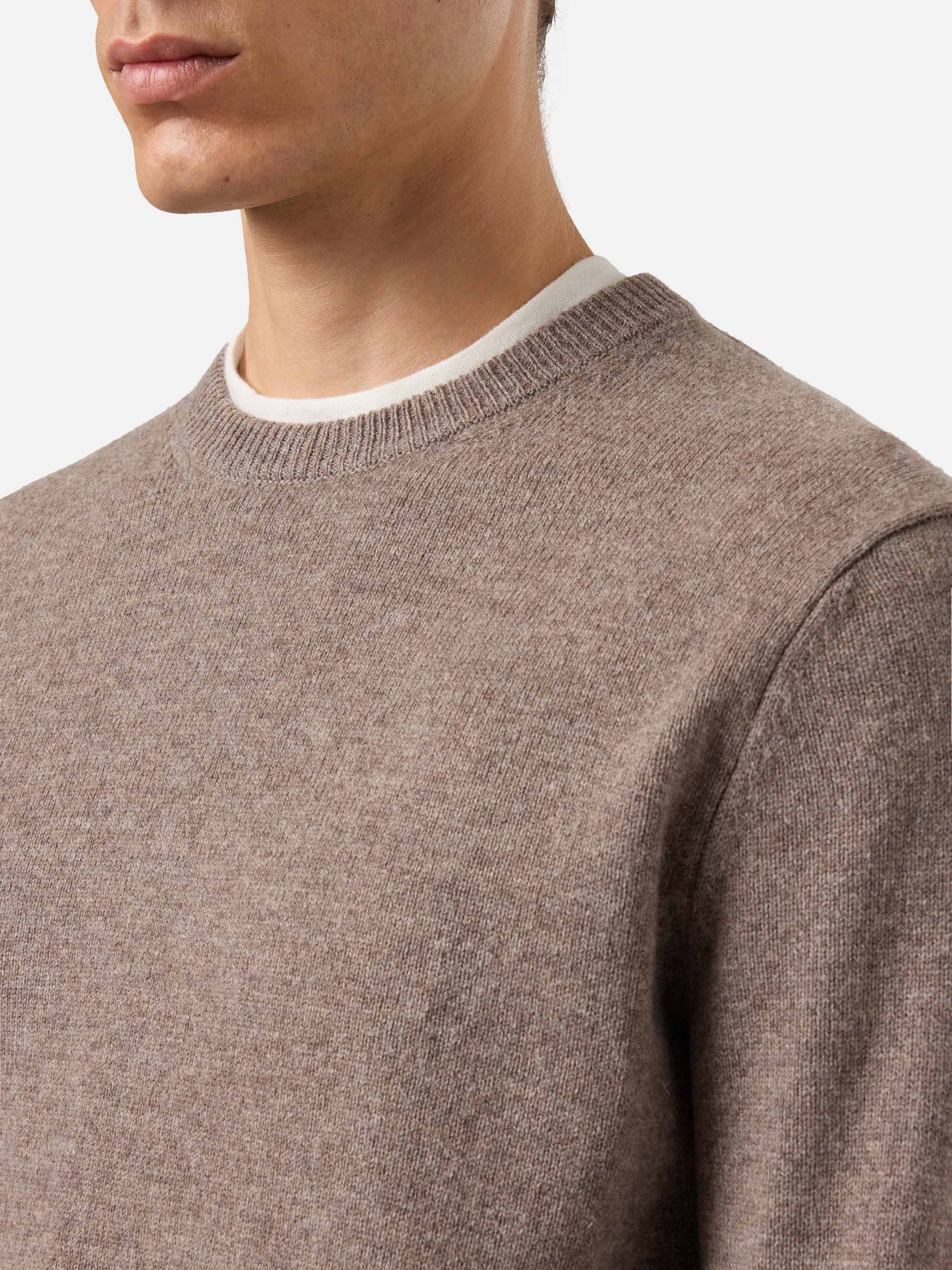 Maglione Regent in 100% LAMBSWOOL nocciola - Image 2