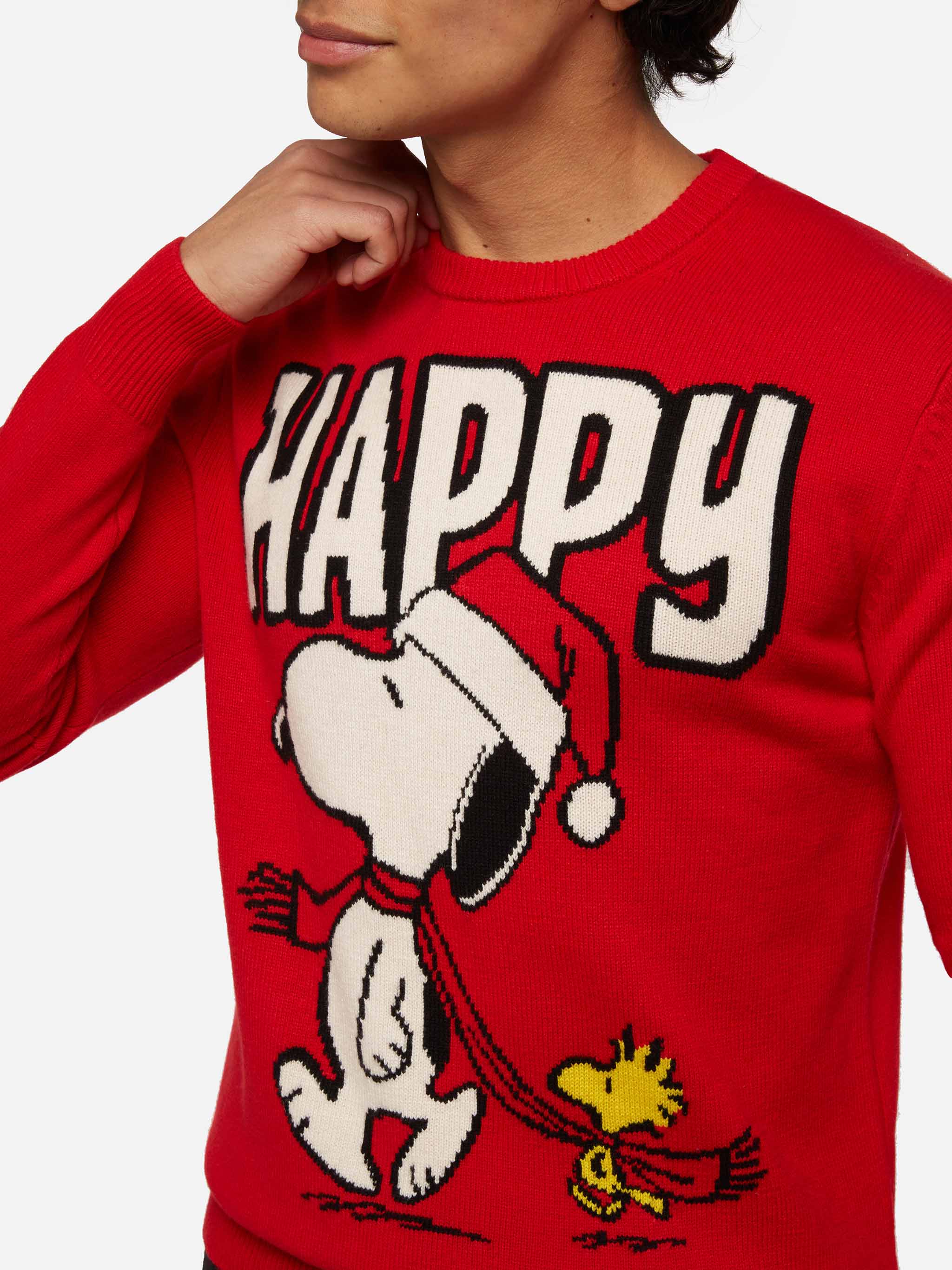 Maglione Heron con jacquard Snoopy | SNOOPY PEANUTS® SPECIAL EDITION - Image 2